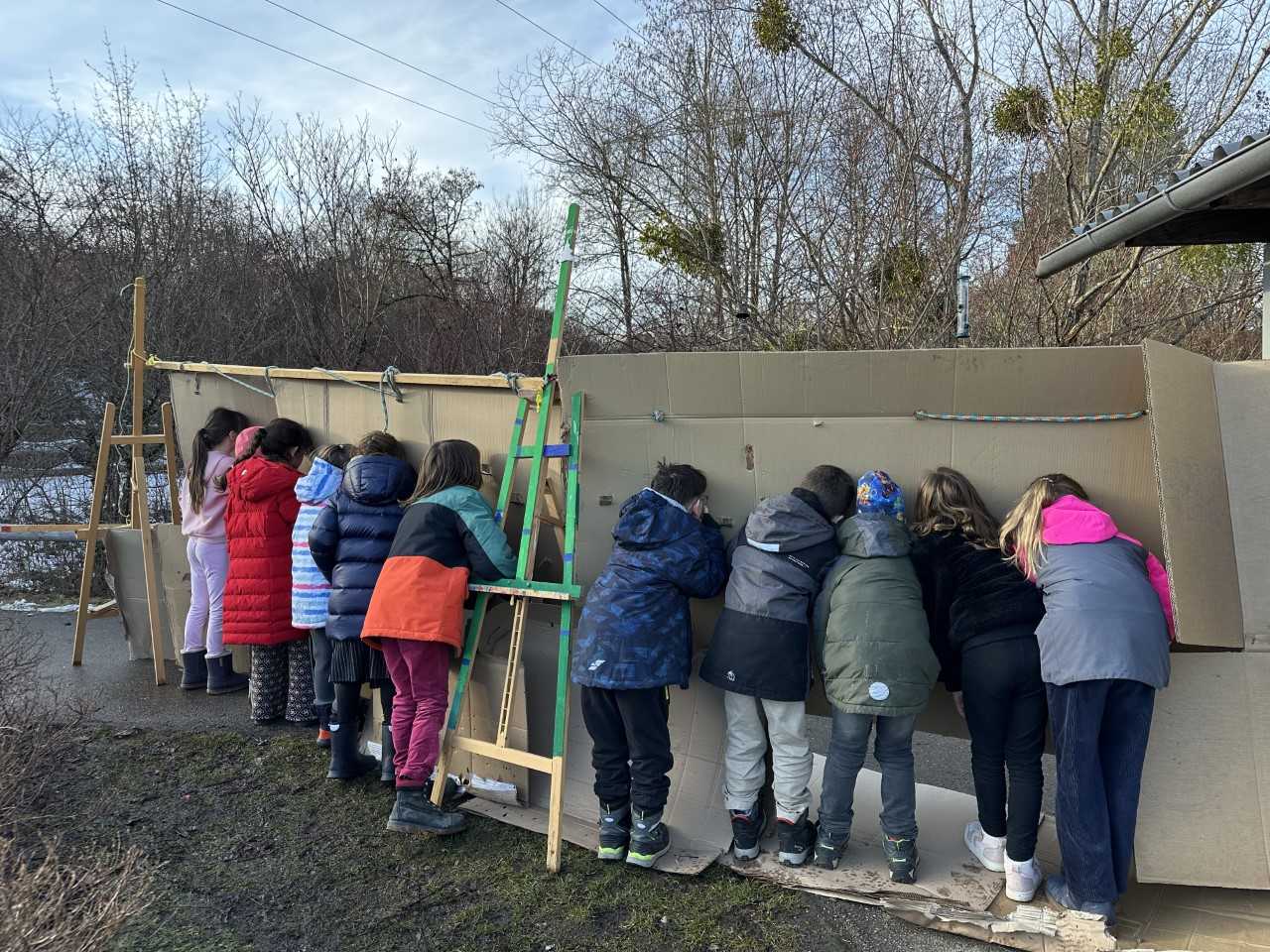 Welche Vögel gibt es in unserem Schulhof?