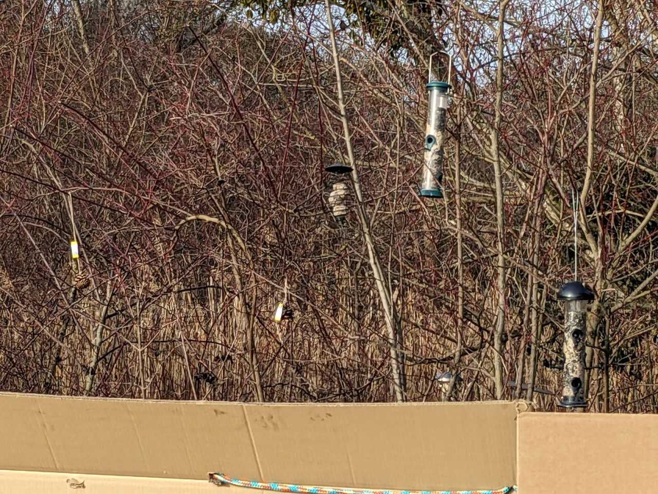 Ein Adventskalender für die Umwelt